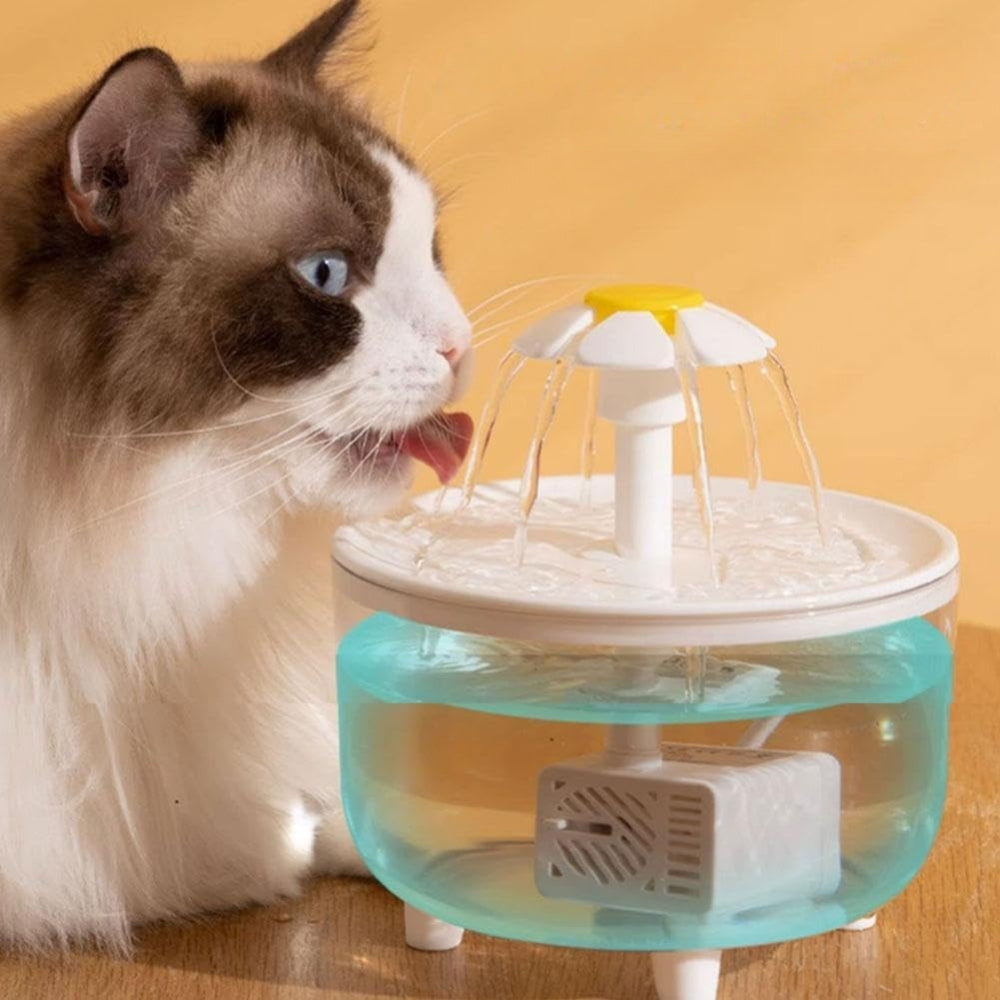 Automatic Water Dispenser for Pets Water Fountain Automatic Cat Drink Bowl