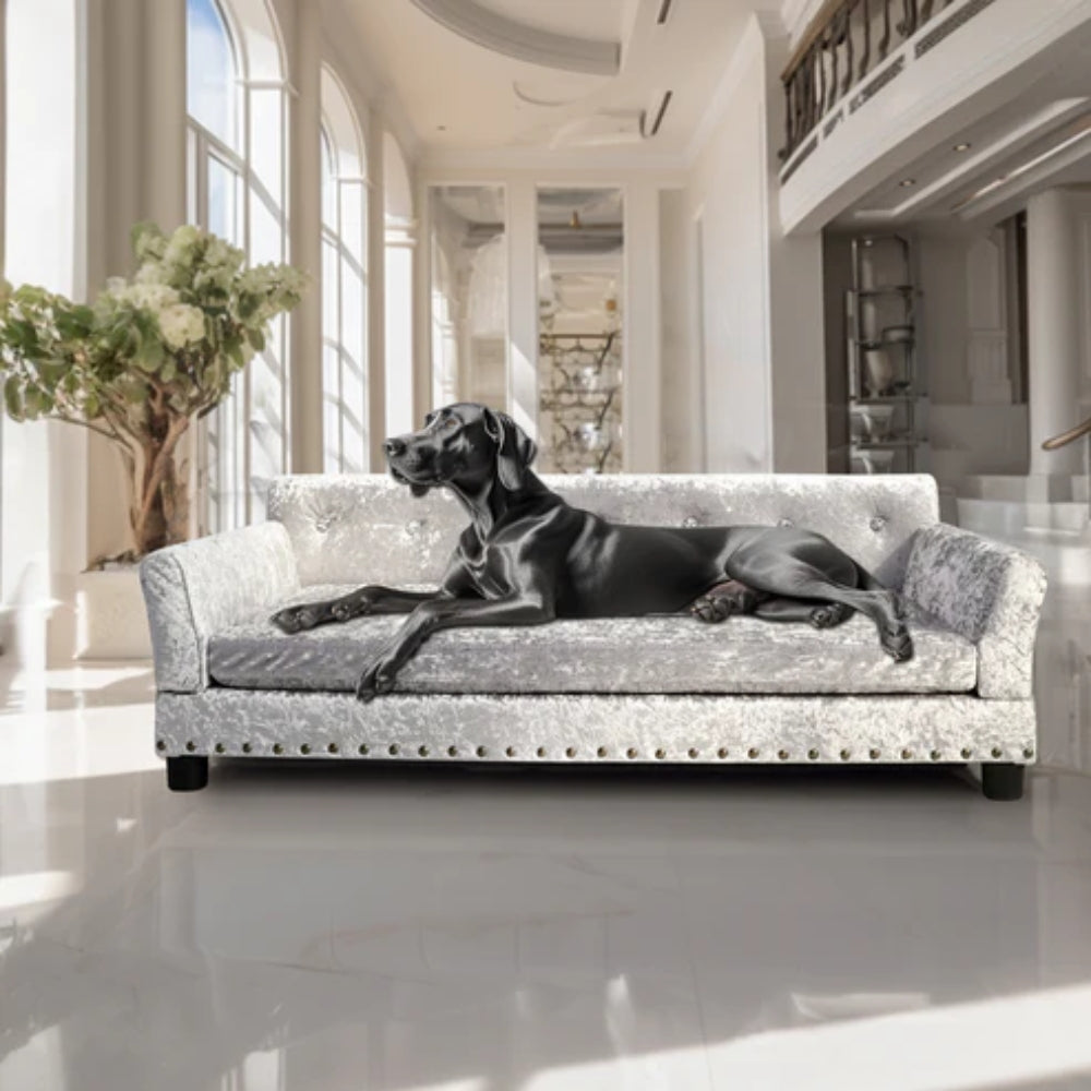 Pet Dog Couch Bed Deluxe Dutch Velvet Upholstered Sofa Bed Removable Cushion