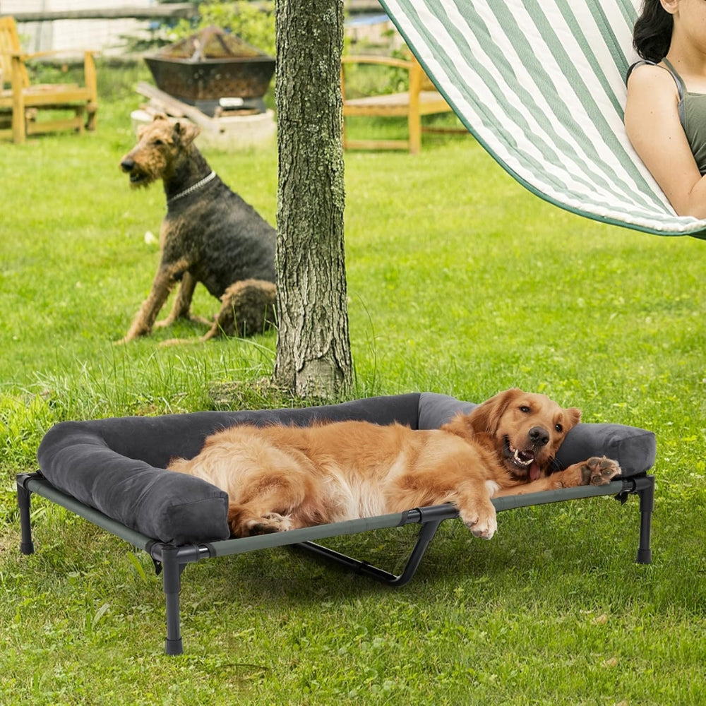 Elevated Dog Bed with Detachable Plush Bolster Cooling Raised Dogs Pet Bed