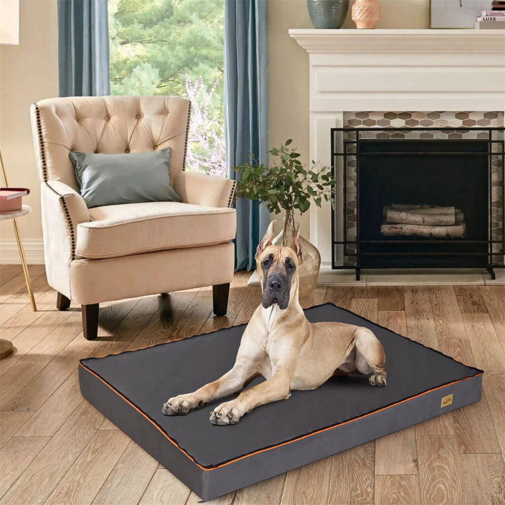 Orthopedic Dog Bed - Large, Padded and Washable for Optimal Comfort