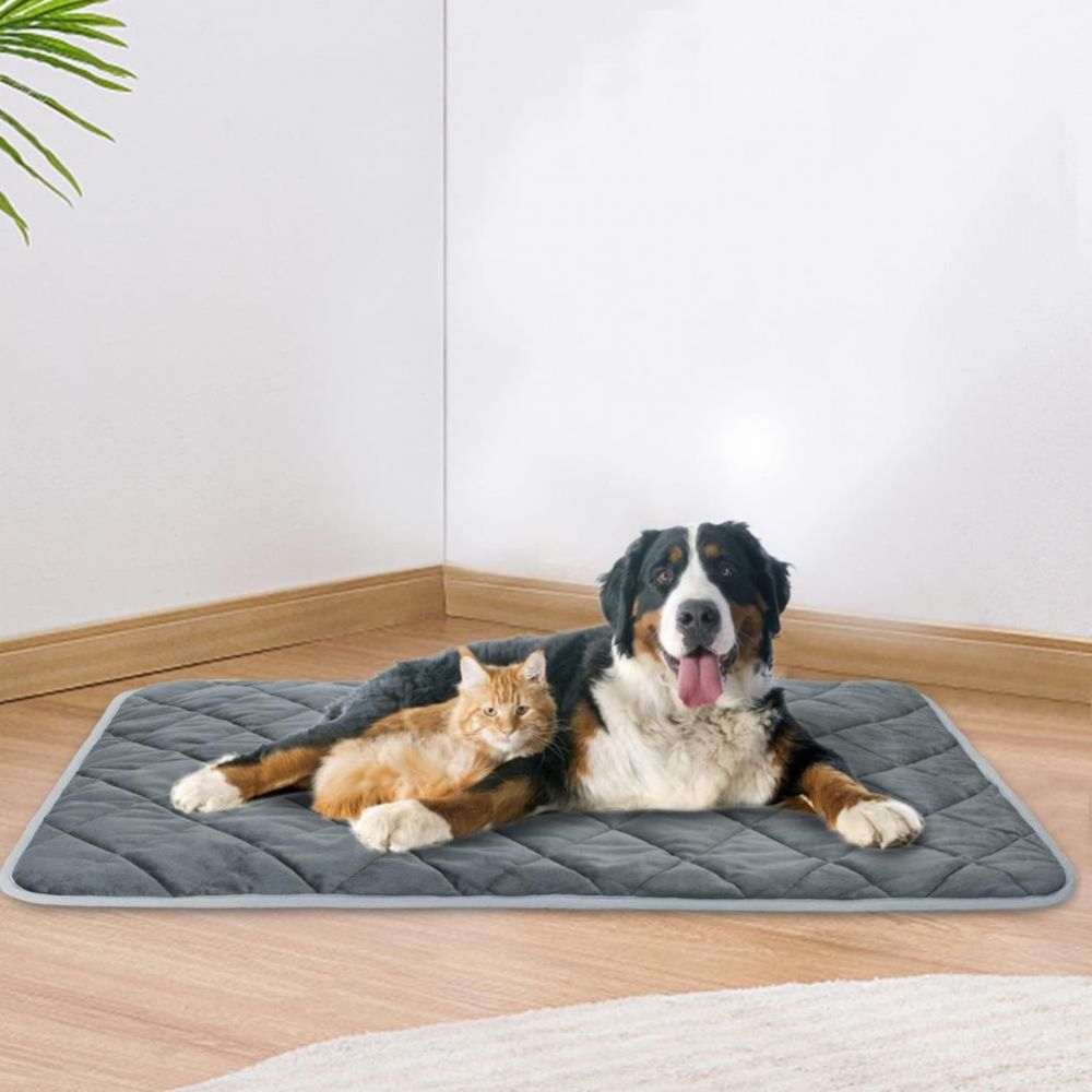 Extra Warm Self Heating Pet Pad for Small and Medium Dogs and Cats