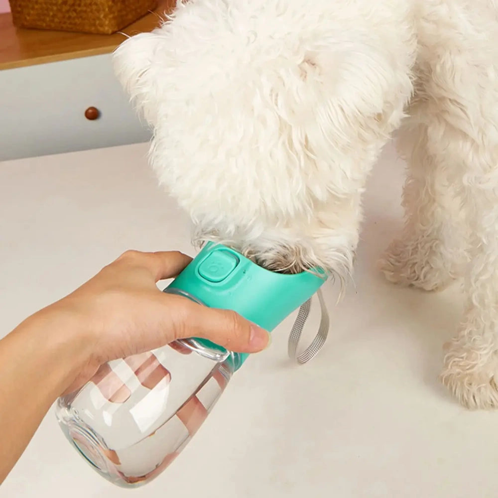 Outdoor Leakproof Walking Drinking Bowls Pet Water Bottle