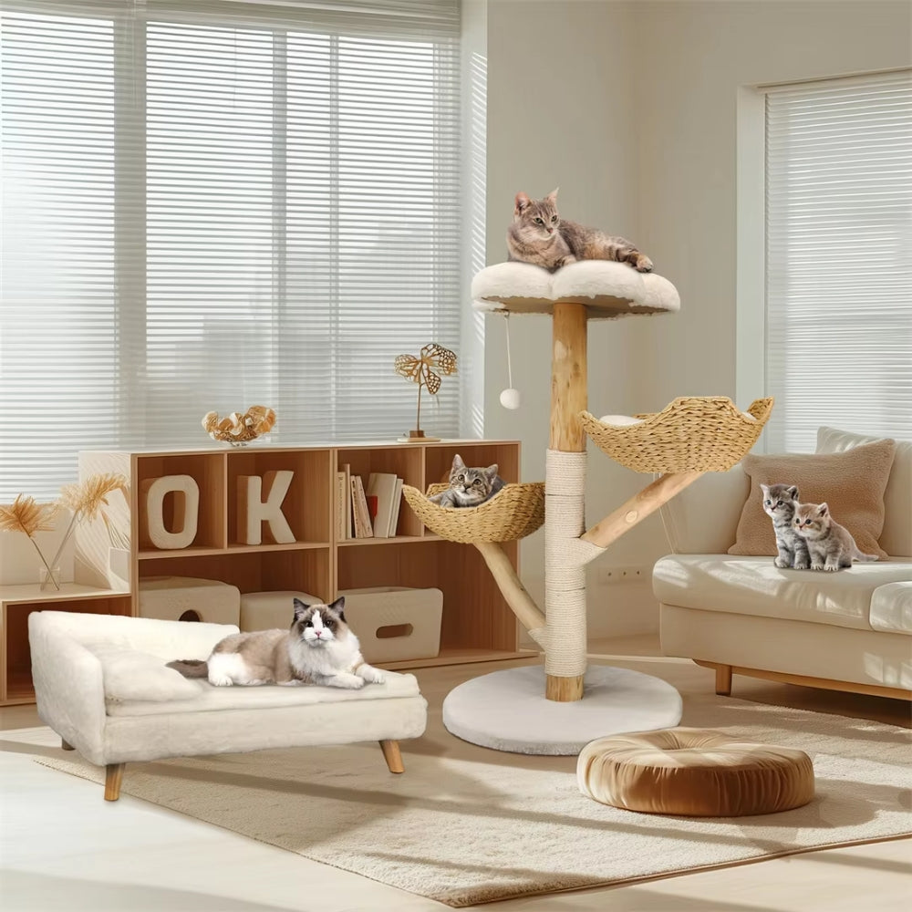 Modern Cat Furniture Climbing Tree Solid Wood Activity Center with Scratching Post