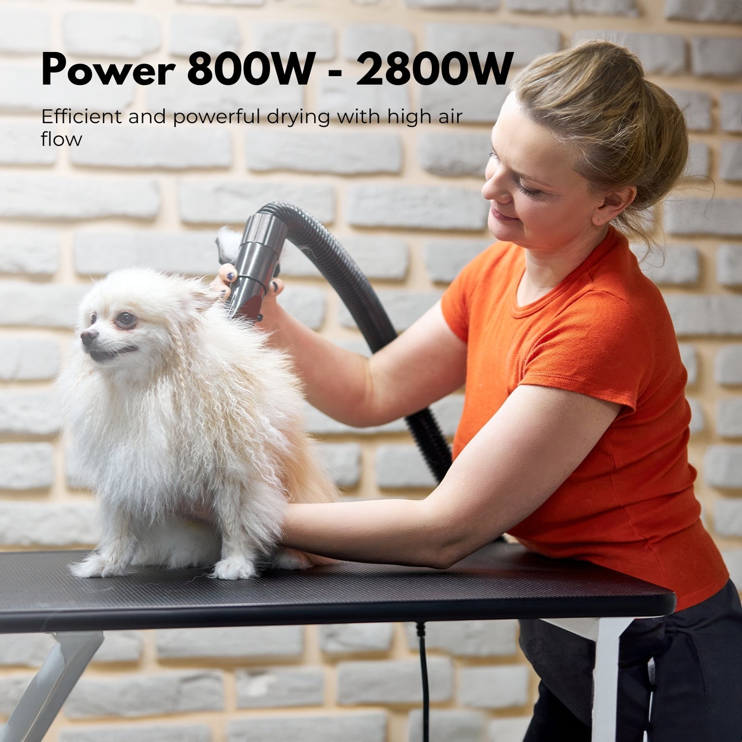 Floofi Pet Hair Dryer Advance (White)