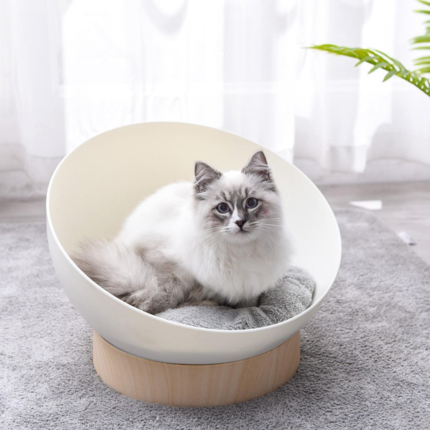 Cat Sphere Bed Nest